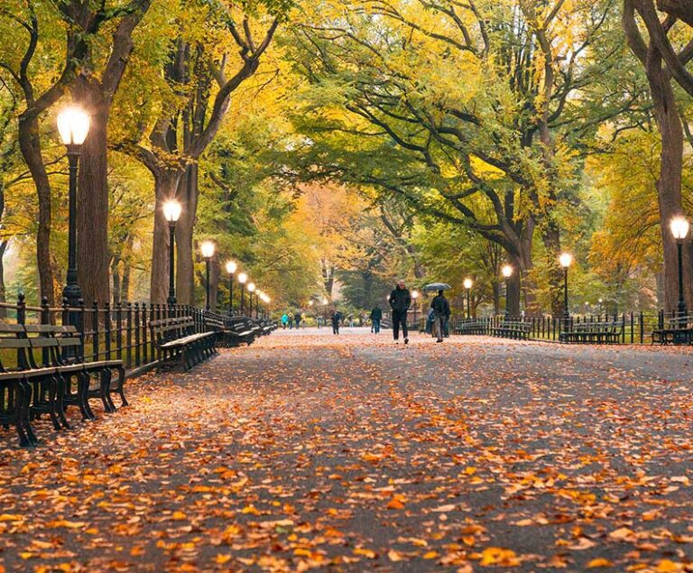 New York in the Fall